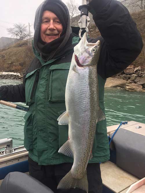 Big steelhead like this one can be caught in the lower Niagara River if the conditions are right.