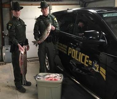 Striped Bass Poacher Busted