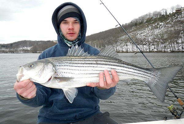 The tidal rivers of Connecticut offer a special opportunity to catch stripers during the snowy months of winter.