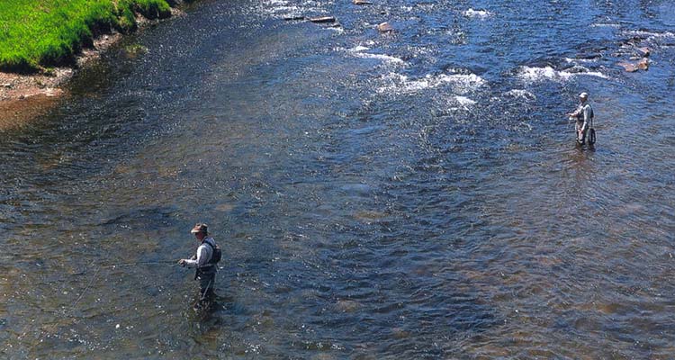 Anglers come from far and wide to fish for native brown and rainbow trout in the clear water of West Branch of the Delaware River.