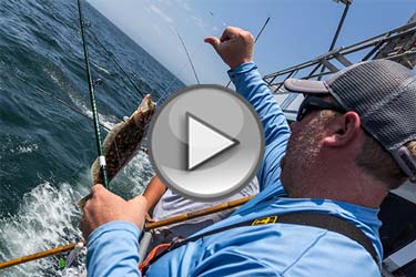 Nantucket Shoals Fluke