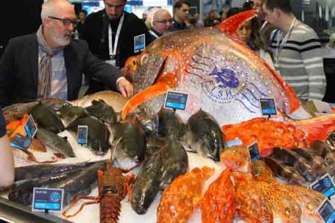 Boston Seafood Expo