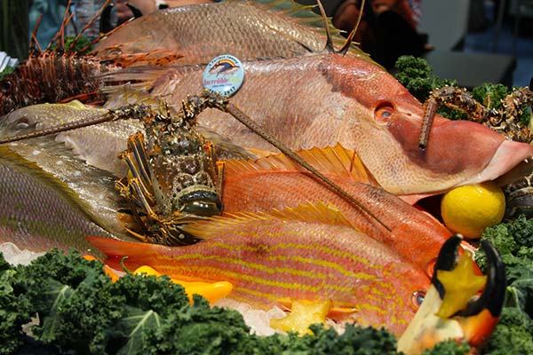 Boston Seafood Expo exotic species