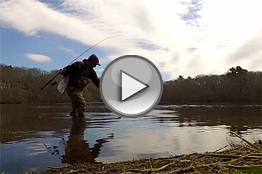 Lunch Break Eddy - Church Pond Perch