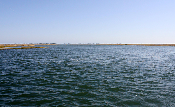 The mouths of small backwater creeks are prime spots to find the season's first stripers.