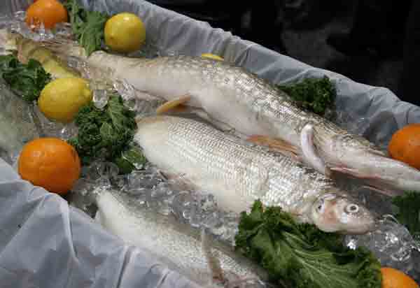 pike