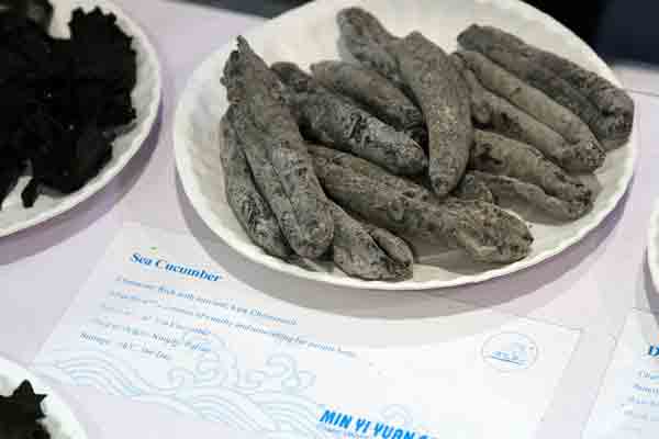 sea cucumber
