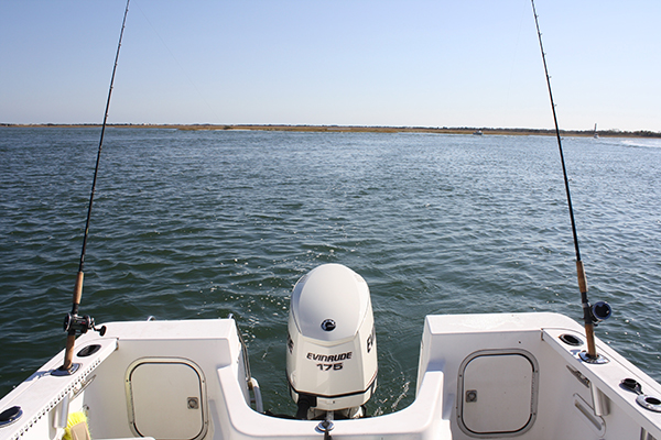 Catching the first striper of the spring is as easy as anchoring over a muddy flat and sending out the clam chum.