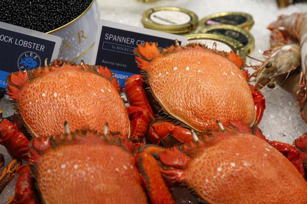 spanner crabs