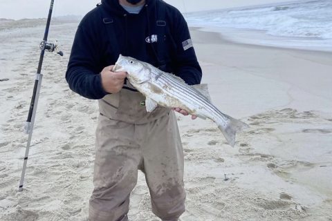 Catching Early Season Stripers on Clams
