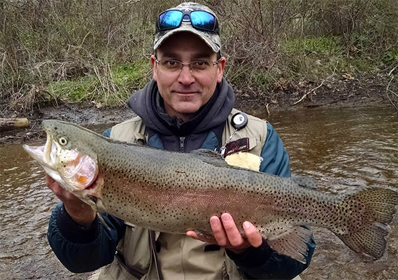 Giant breeders are among the Rainbow Trout stocked each spring.