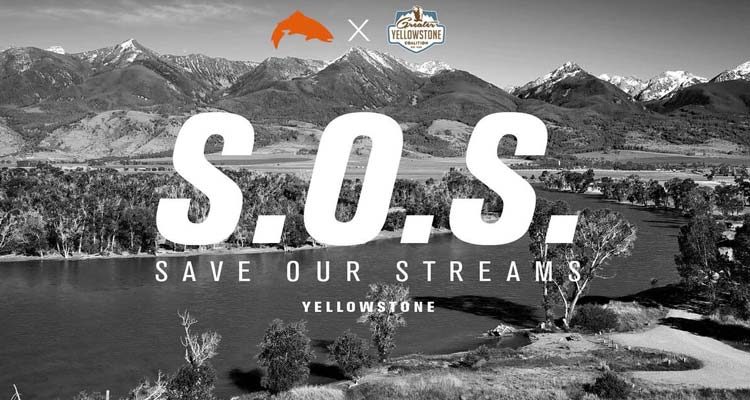 Simms Save Our Streams