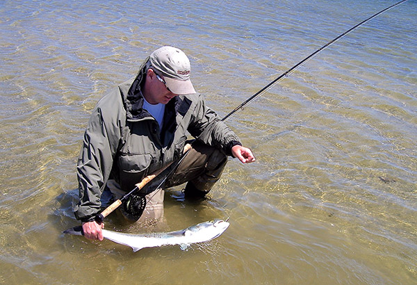 If a school of bluefish suddenly appears, you can change casting direction very easily with a Spey cast.