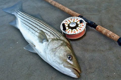 Give Spey casting a try and you may find yourself spending less time casting and more time fishing.