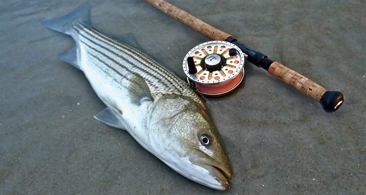 Give Spey casting a try and you may find yourself spending less time casting and more time fishing.