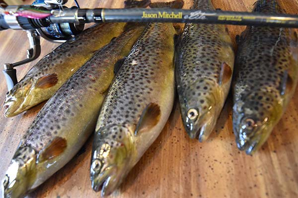 New Hampshire, Maine & Vermont Fishing Report