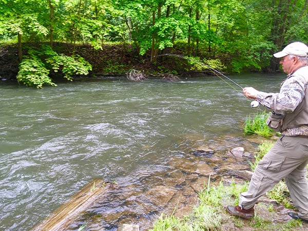 Toby reeling in a Spring Creek Brown Trout