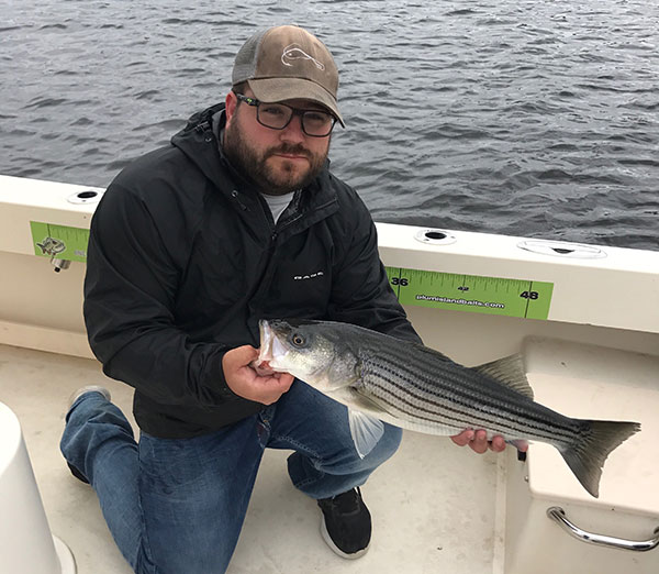 Captain Chris Valaskatgis of Manolin Charters has been finding willing schoolies in the Merrimack River.