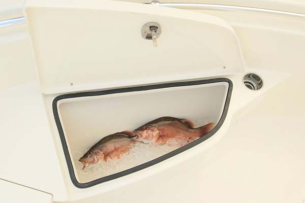 Cobia 220 fish box