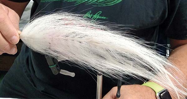 The Beast Fleye, a perfect bunker imitation, tied by New Jersey fly fisherman, Bob Popovics.