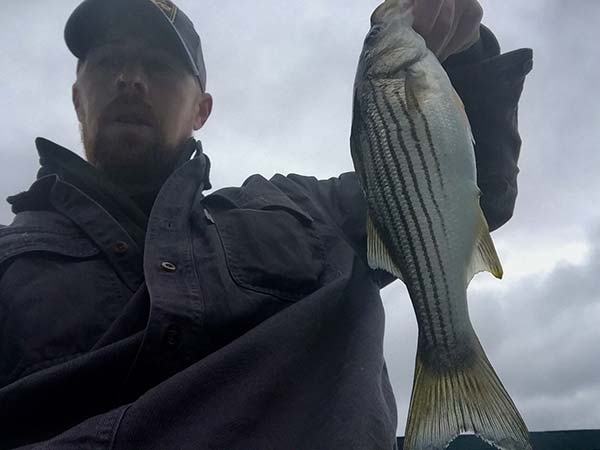 Jesse Goodwin (pictured) and Maine anglers are finding the striper bite picking up this week.