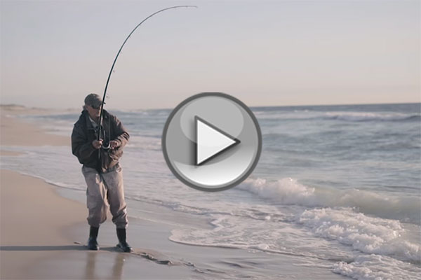 60 Years In The Surf