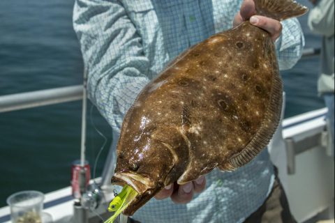 Fishing Bucktails for Trophy Fluke