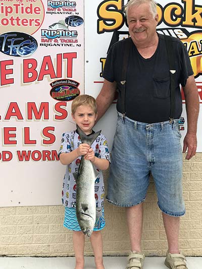 Bluefish are still staying strong