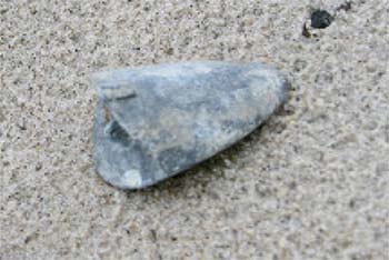 Wedge