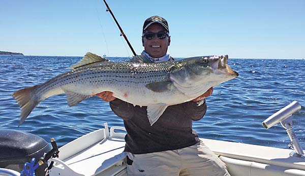 When adult menhaden are the primary forage, bunker spoons will out-produce most other trolling lures.