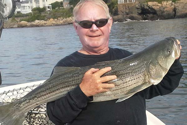 Dave Panarello live lined a mackerel to catch this nice bass off a North Shore Beach.