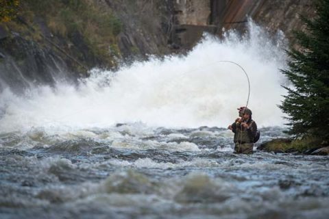 On the Water's Adventures