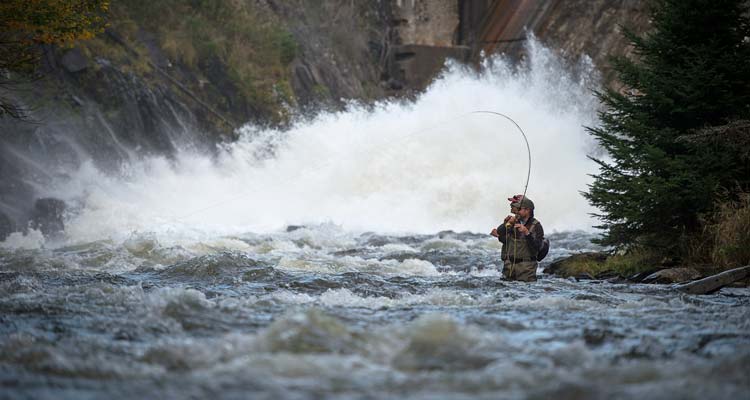 On the Water's Adventures