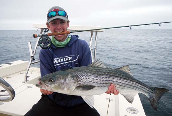 20-pound striper on the fly