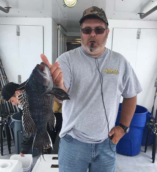 Sea bass is the “hottest” fishery during the first week of June.