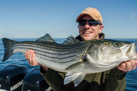 Earn your stripes all summer long.