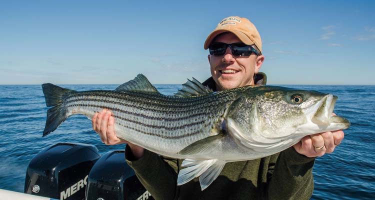 Earn your stripes all summer long.