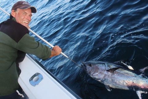 Satellite-tagging provides key insights into light-tackle bluefin tuna post-release survival.