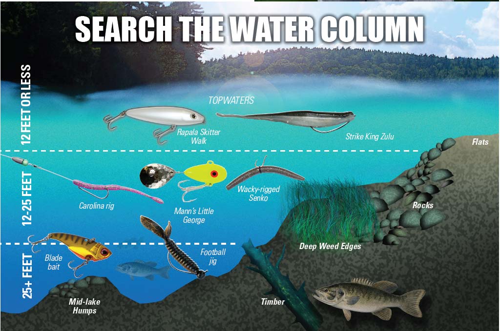 Finding Summer Smallmouth Bass