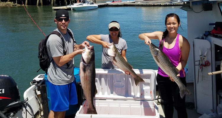 Fisheries biologist Kevin Chung recently put his cousins - Mark, Melissa and Camille - into an improving bay state bass bite.
