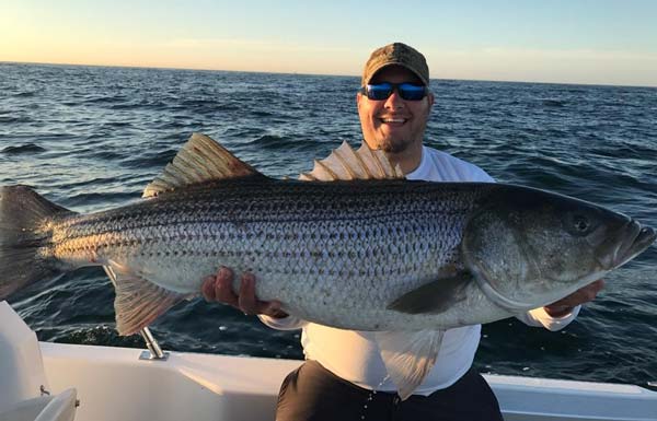 Joe Diorio with a 47-inch striper that he entered into C&R division of the Striper Cup