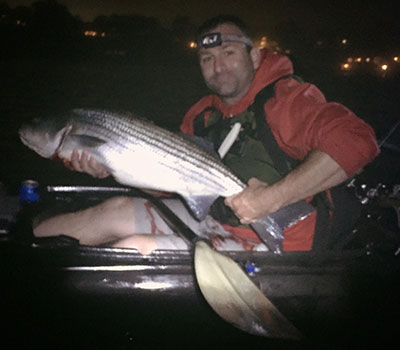 John caught this 34-inch striper by live lining a pogie. 
