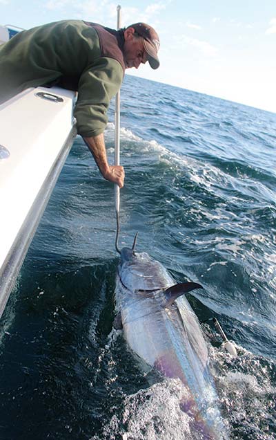 A small gaff placed in the lower jaw can prove helpful when trying to control, unhook, and revive a feisty bluefin tuna boatside.