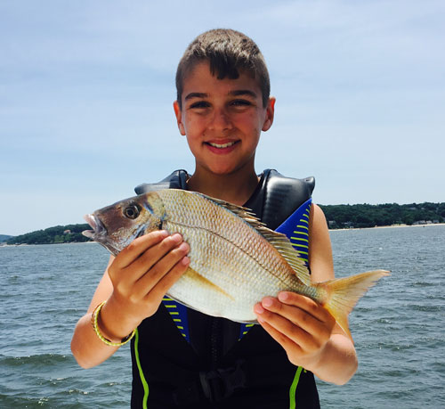 Anglers are still finding dinner plate sized scup along just about any rocky bottom or big structures.