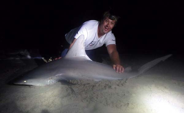 Sharks are most active in low-light conditions, so plan on fishing the early morning or evening hours. 