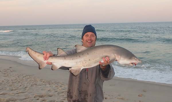 The author with a surf-caught sand tiger shark.
