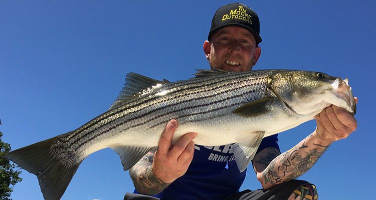 Better bass have moved in with the mackerel according to Tim Moore from TimMooreOutdoors!