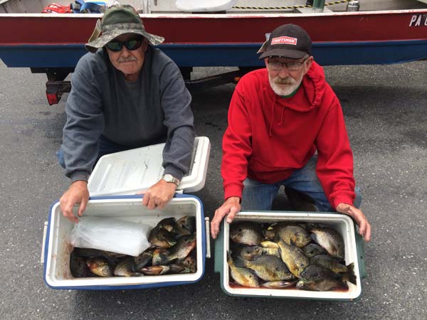 Roland W. Slusser of Bloomsburg, PA (L) and Robert A. Roan of Orangeville, PA proudly displaying their catch of Bluegills they caught while fishing at Mauch Chunk Lake.