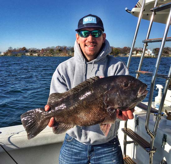 Mike Bona caught this big blackfish in shallow water. 