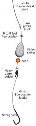 Flathead catfish rig